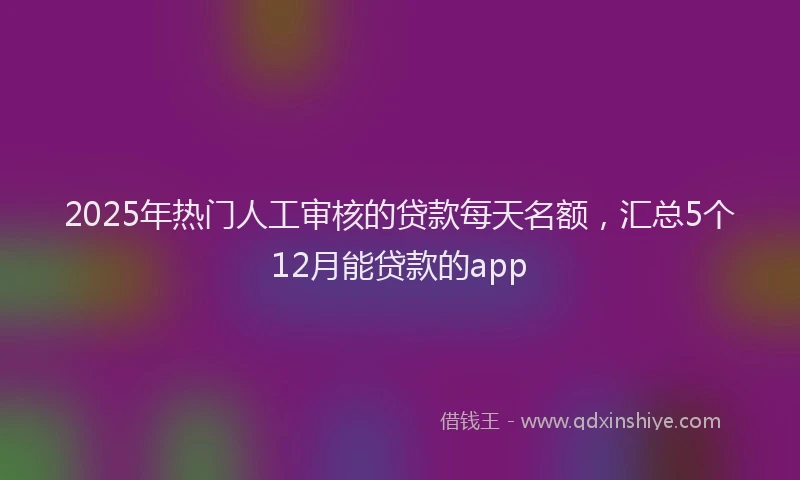 2025年热门人工审核的贷款每天名额，汇总5个12月能贷款的app
