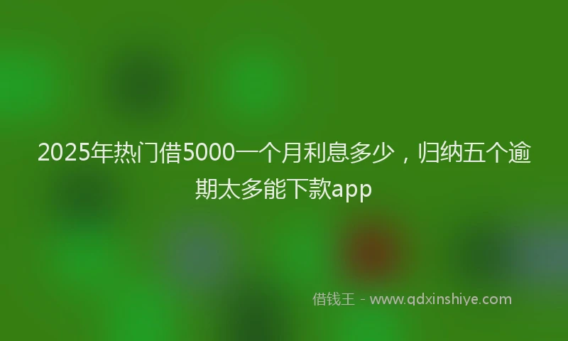 2025年热门借5000一个月利息多少，归纳五个逾期太多能下款app