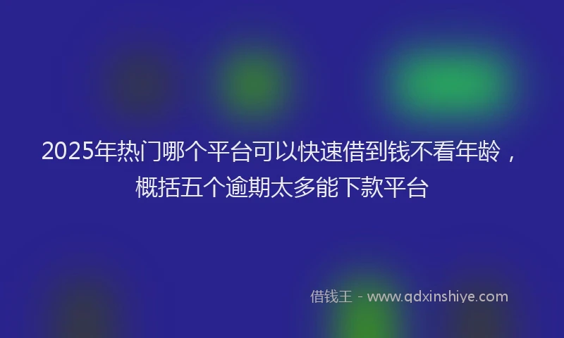 2025年热门哪个平台可以快速借到钱不看年龄，概括五个逾期太多能下款平台