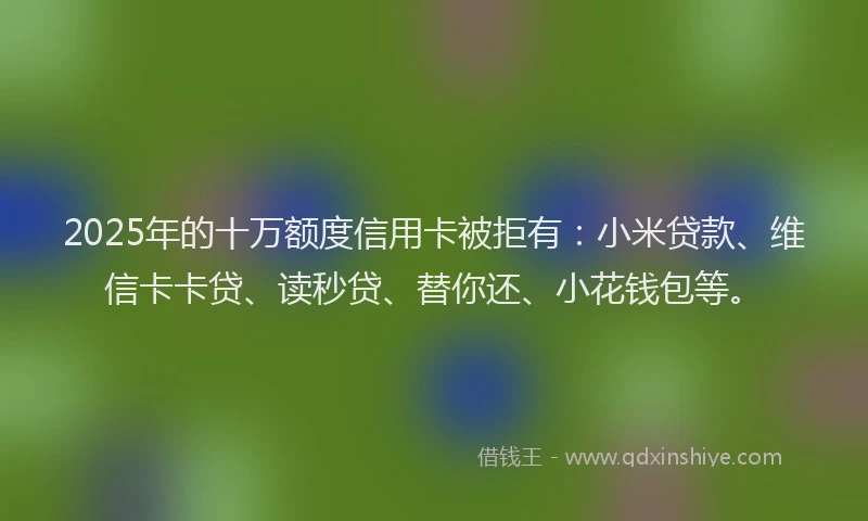 2025年的十万额度信用卡被拒有：小米贷款、维信卡卡贷、读秒贷、替你还、小花钱包等。