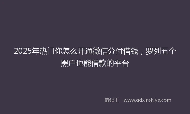 2025年热门你怎么开通微信分付借钱，罗列五个黑户也能借款的平台