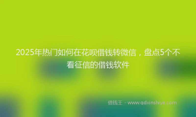 2025年热门如何在花呗借钱转微信，盘点5个不看征信的借钱软件
