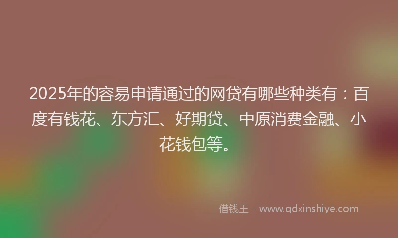 2025年的容易申请通过的网贷有哪些种类有：百度有钱花、东方汇、好期贷、中原消费金融、小花钱包等。