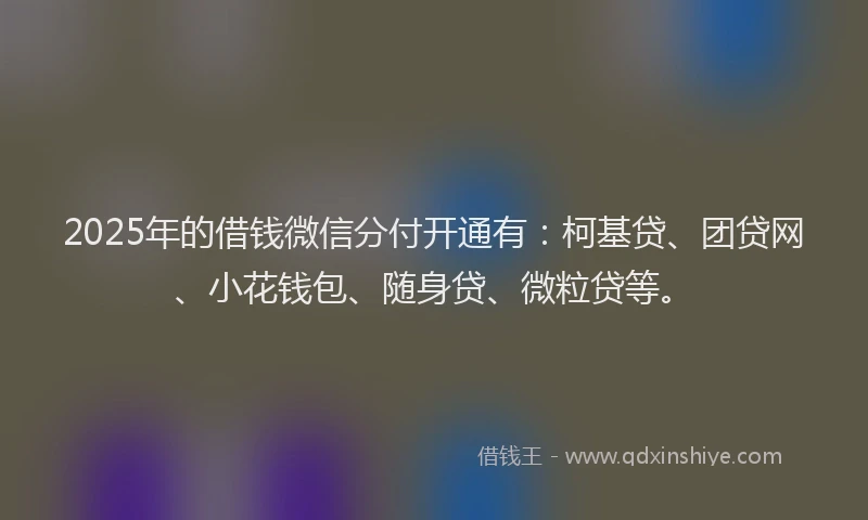 2025年的借钱微信分付开通有：柯基贷、团贷网、小花钱包、随身贷、微粒贷等。