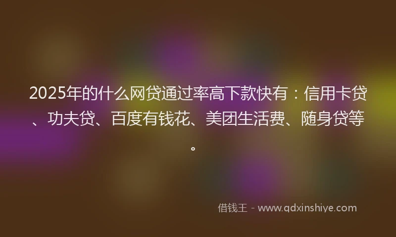 2025年的什么网贷通过率高下款快有：信用卡贷、功夫贷、百度有钱花、美团生活费、随身贷等。