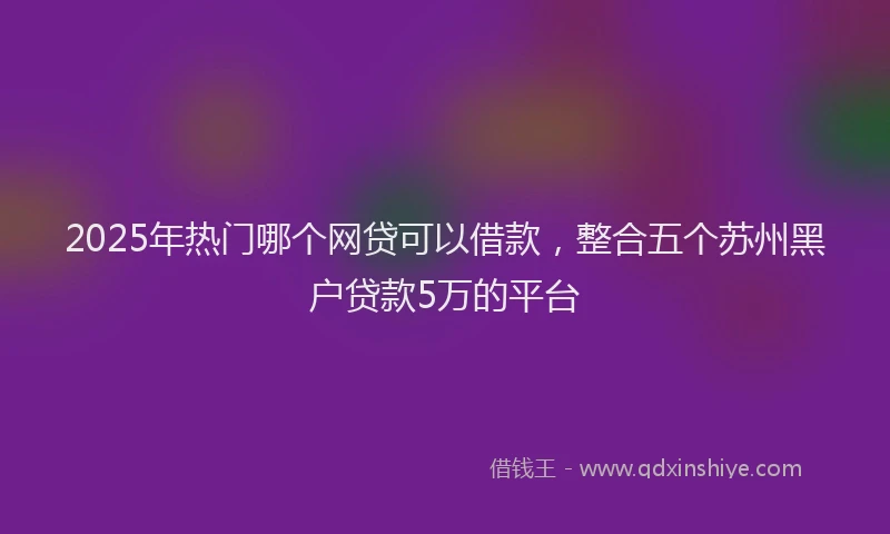 2025年热门哪个网贷可以借款，整合五个苏州黑户贷款5万的平台
