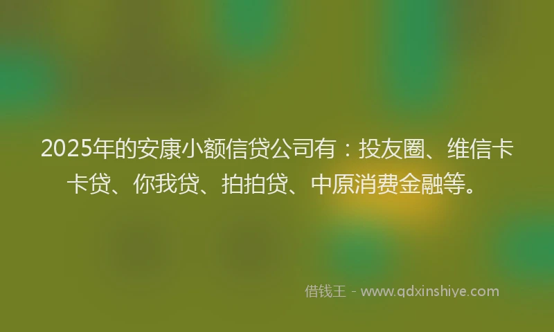 2025年的安康小额信贷公司有：投友圈、维信卡卡贷、你我贷、拍拍贷、中原消费金融等。