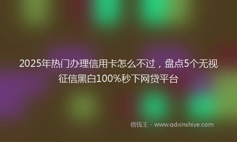 2025年热门办理信用卡怎么不过，盘点5个无视征信黑白100%秒下网贷平台