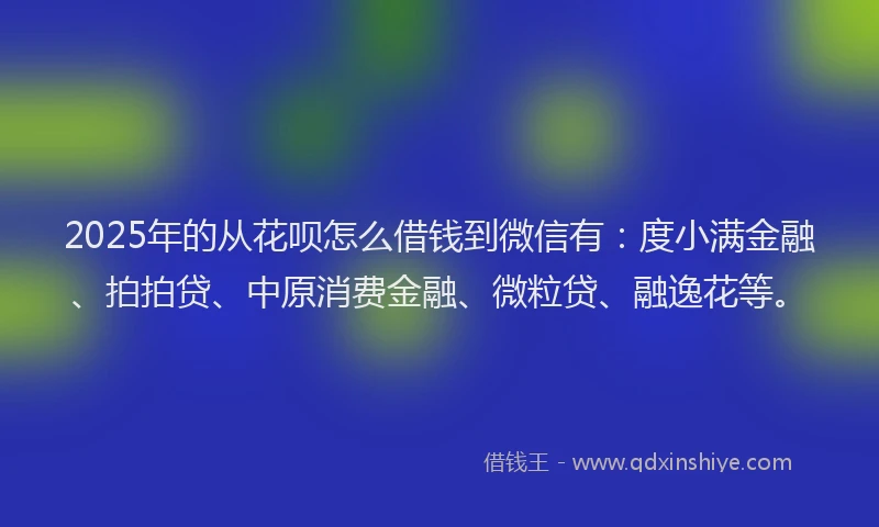 2025年的从花呗怎么借钱到微信有：度小满金融、拍拍贷、中原消费金融、微粒贷、融逸花等。