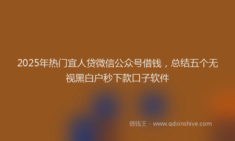2025年热门宜人贷微信公众号借钱，总结五个无视黑白户秒下款口子软件