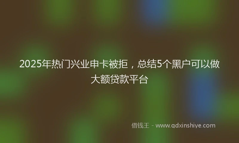 2025年热门兴业申卡被拒，总结5个黑户可以做大额贷款平台