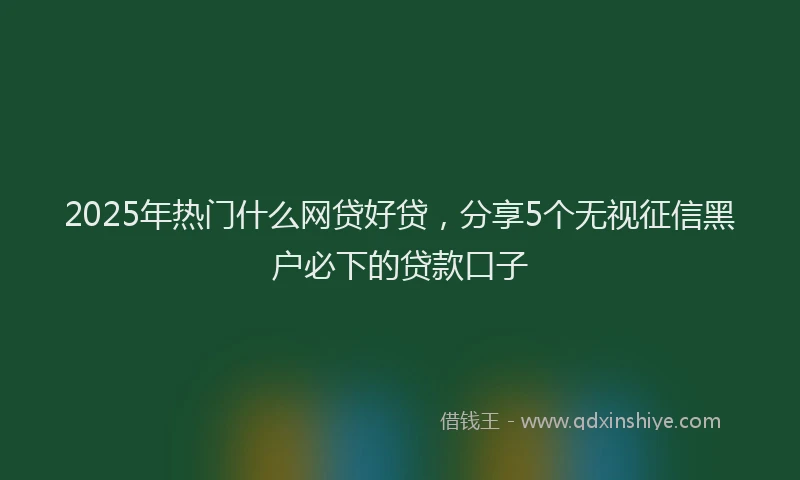 2025年热门什么网贷好贷，分享5个无视征信黑户必下的贷款口子