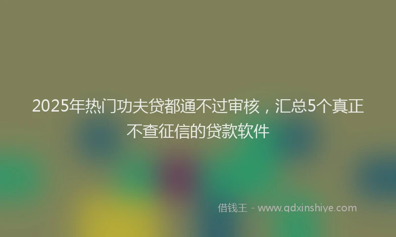2025年热门功夫贷都通不过审核，汇总5个真正不查征信的贷款软件