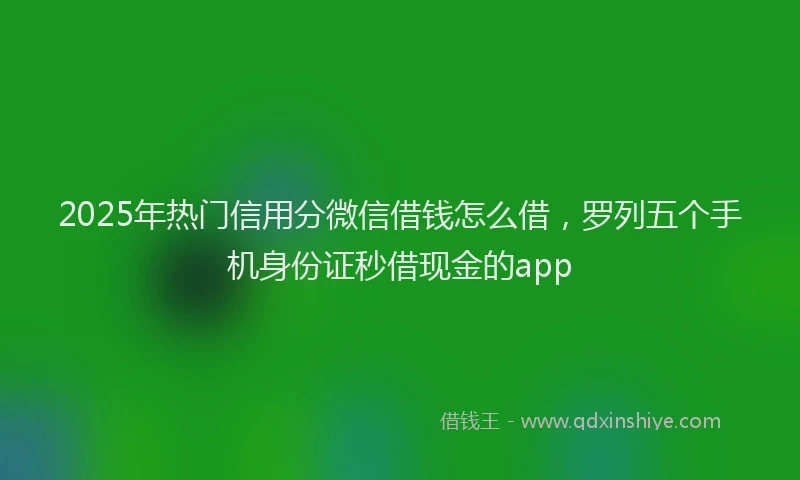2025年热门信用分微信借钱怎么借，罗列五个手机身份证秒借现金的app