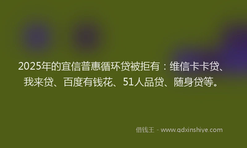 2025年的宜信普惠循环贷被拒有：维信卡卡贷、我来贷、百度有钱花、51人品贷、随身贷等。