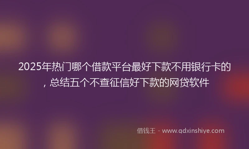 2025年热门哪个借款平台最好下款不用银行卡的，总结五个不查征信好下款的网贷软件