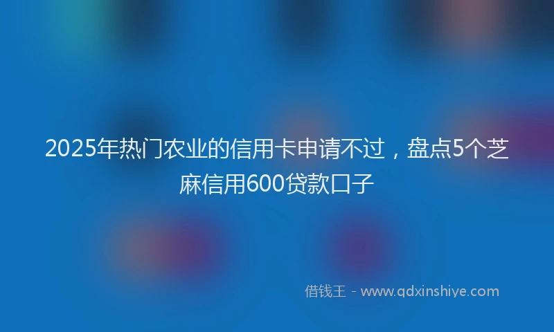 2025年热门农业的信用卡申请不过，盘点5个芝麻信用600贷款口子
