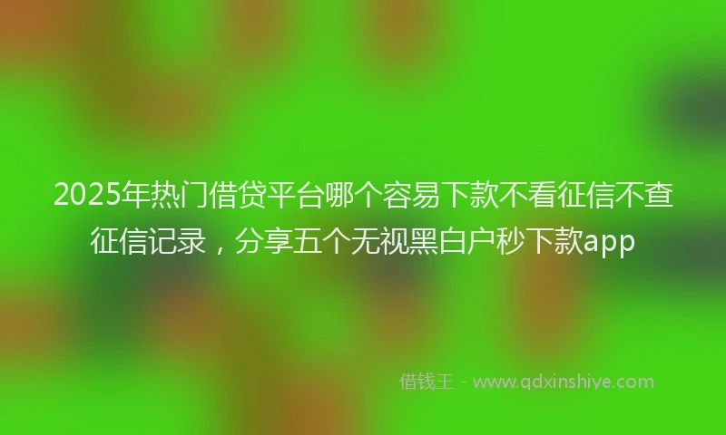 2025年热门借贷平台哪个容易下款不看征信不查征信记录，分享五个无视黑白户秒下款app