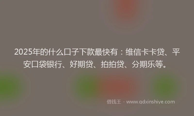 2025年的什么口子下款最快有：维信卡卡贷、平安口袋银行、好期贷、拍拍贷、分期乐等。
