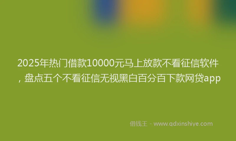 2025年热门借款10000元马上放款不看征信软件，盘点五个不看征信无视黑白百分百下款网贷app