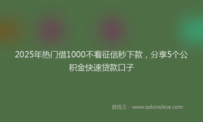 2025年热门借1000不看征信秒下款，分享5个公积金快速贷款口子