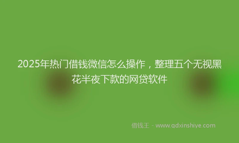 2025年热门借钱微信怎么操作，整理五个无视黑花半夜下款的网贷软件