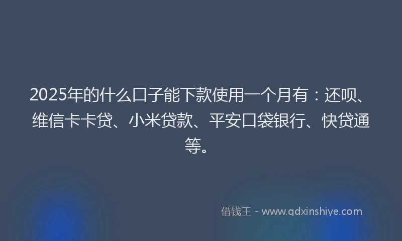 2025年的什么口子能下款使用一个月有：还呗、维信卡卡贷、小米贷款、平安口袋银行、快贷通等。