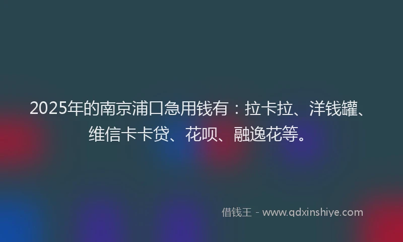 2025年的南京浦口急用钱有：拉卡拉、洋钱罐、维信卡卡贷、花呗、融逸花等。