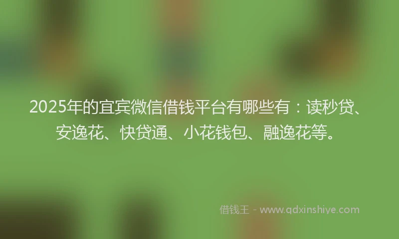 2025年的宜宾微信借钱平台有哪些有：读秒贷、安逸花、快贷通、小花钱包、融逸花等。