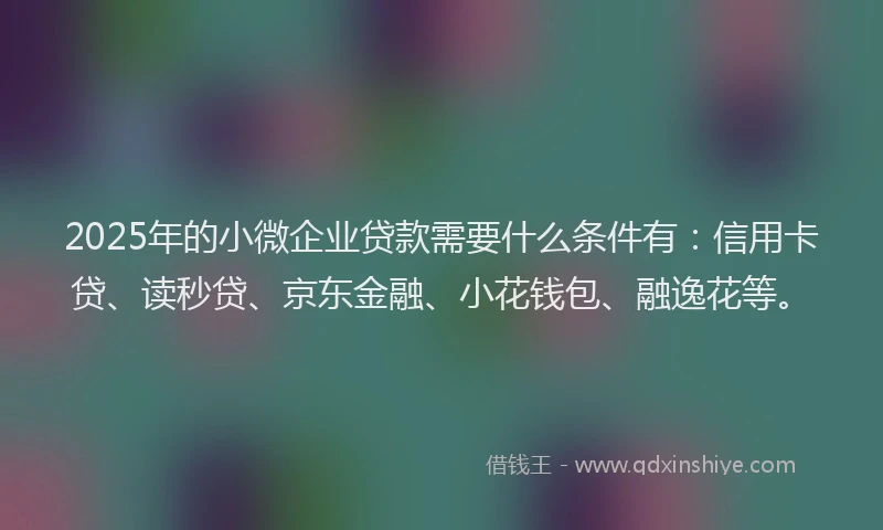 2025年的小微企业贷款需要什么条件有：信用卡贷、读秒贷、京东金融、小花钱包、融逸花等。