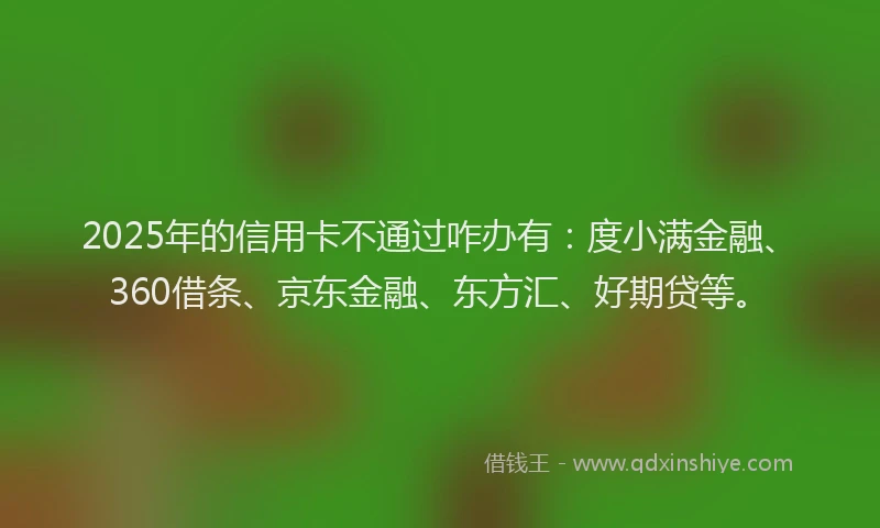 2025年的信用卡不通过咋办有：度小满金融、360借条、京东金融、东方汇、好期贷等。