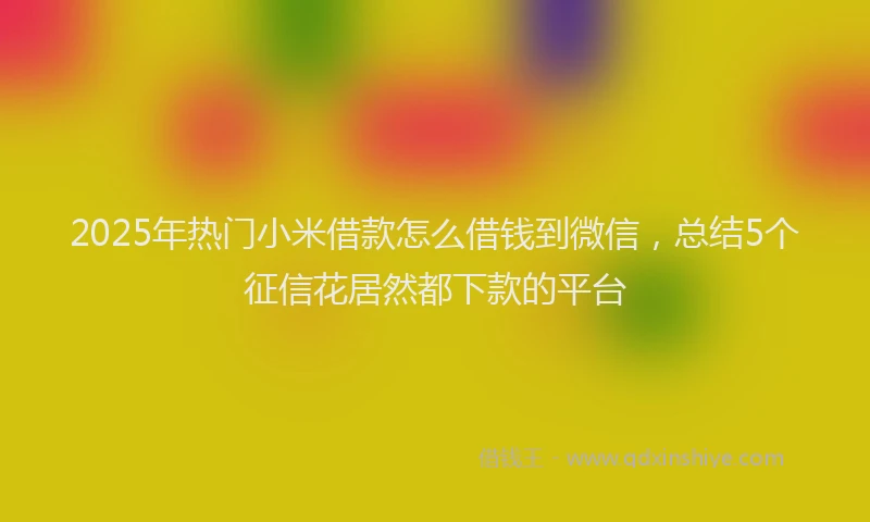 2025年热门小米借款怎么借钱到微信，总结5个征信花居然都下款的平台