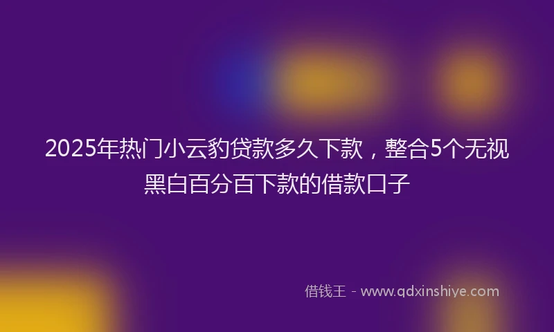 2025年热门小云豹贷款多久下款，整合5个无视黑白百分百下款的借款口子