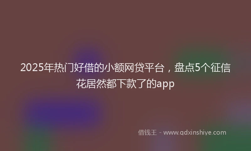 2025年热门好借的小额网贷平台，盘点5个征信花居然都下款了的app