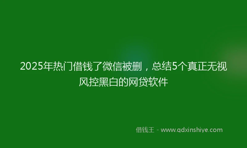 2025年热门借钱了微信被删，总结5个真正无视风控黑白的网贷软件