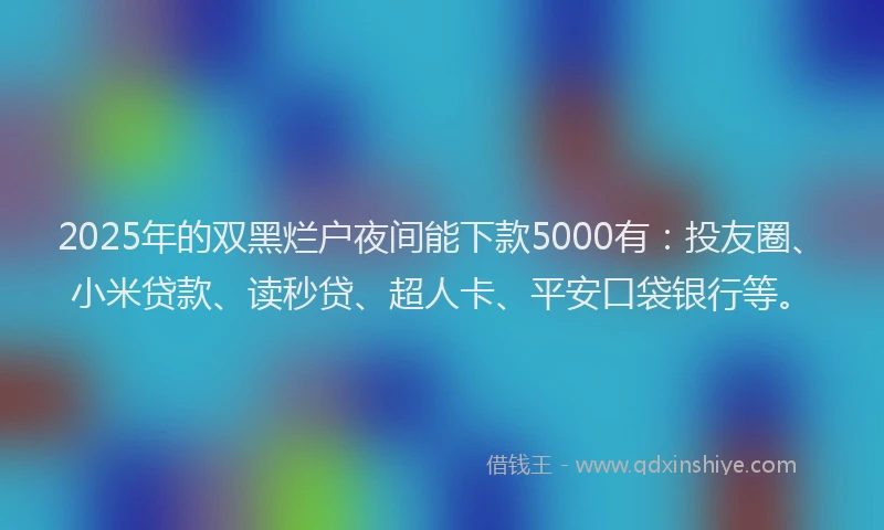 2025年的双黑烂户夜间能下款5000有：投友圈、小米贷款、读秒贷、超人卡、平安口袋银行等。