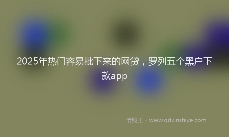 2025年热门容易批下来的网贷，罗列五个黑户下款app