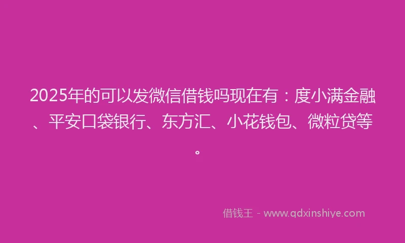 2025年的可以发微信借钱吗现在有：度小满金融、平安口袋银行、东方汇、小花钱包、微粒贷等。
