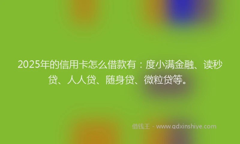 2025年的信用卡怎么借款有：度小满金融、读秒贷、人人贷、随身贷、微粒贷等。