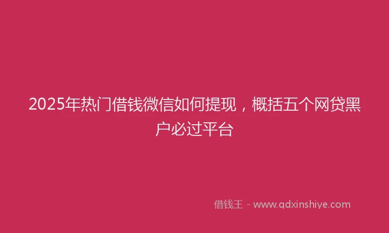 2025年热门借钱微信如何提现，概括五个网贷黑户必过平台
