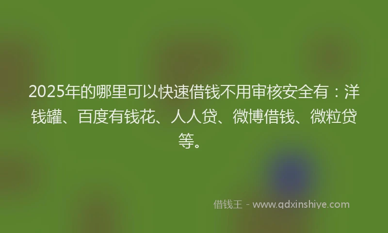 2025年的哪里可以快速借钱不用审核安全有：洋钱罐、百度有钱花、人人贷、微博借钱、微粒贷等。