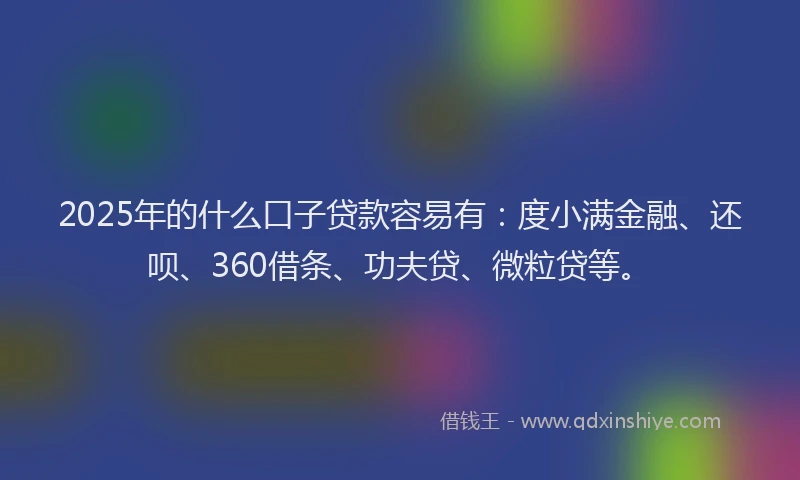 2025年的什么口子贷款容易有：度小满金融、还呗、360借条、功夫贷、微粒贷等。