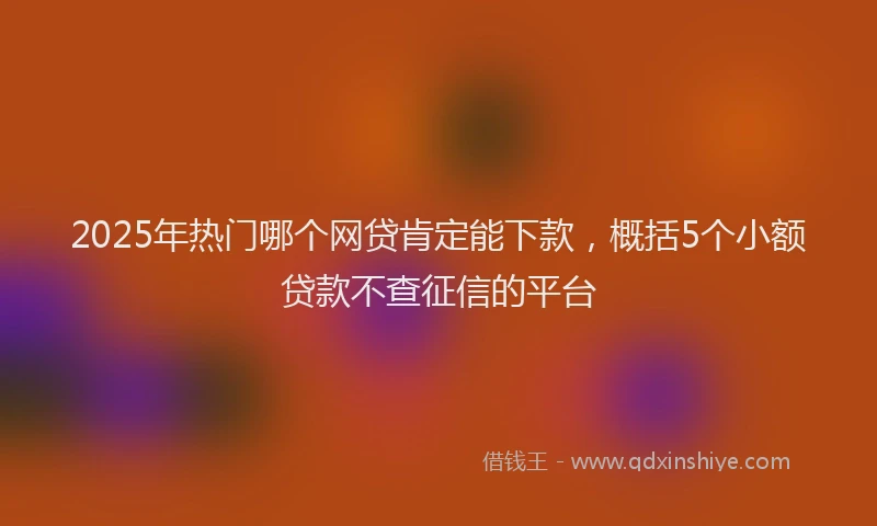2025年热门哪个网贷肯定能下款，概括5个小额贷款不查征信的平台