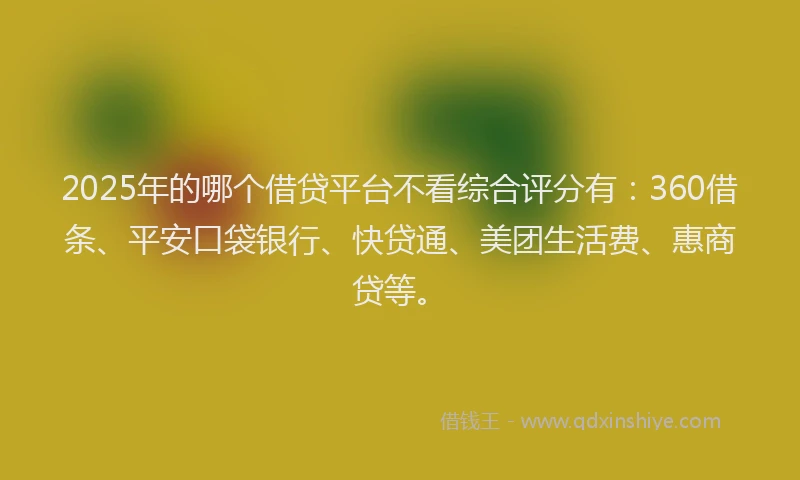 2025年的哪个借贷平台不看综合评分有：360借条、平安口袋银行、快贷通、美团生活费、惠商贷等。