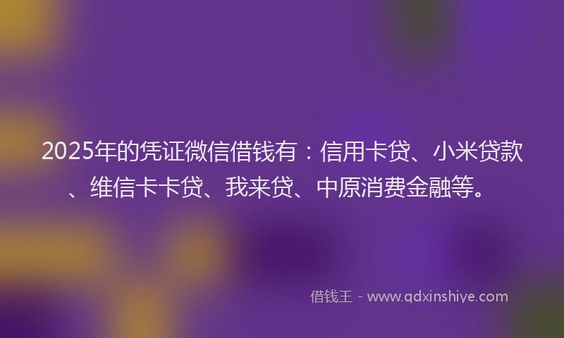 2025年的凭证微信借钱有：信用卡贷、小米贷款、维信卡卡贷、我来贷、中原消费金融等。