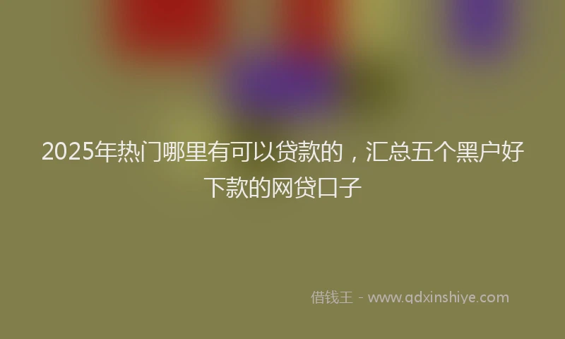 2025年热门哪里有可以贷款的，汇总五个黑户好下款的网贷口子
