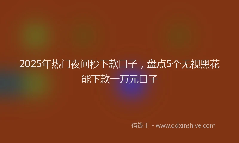 2025年热门夜间秒下款口子，盘点5个无视黑花能下款一万元口子
