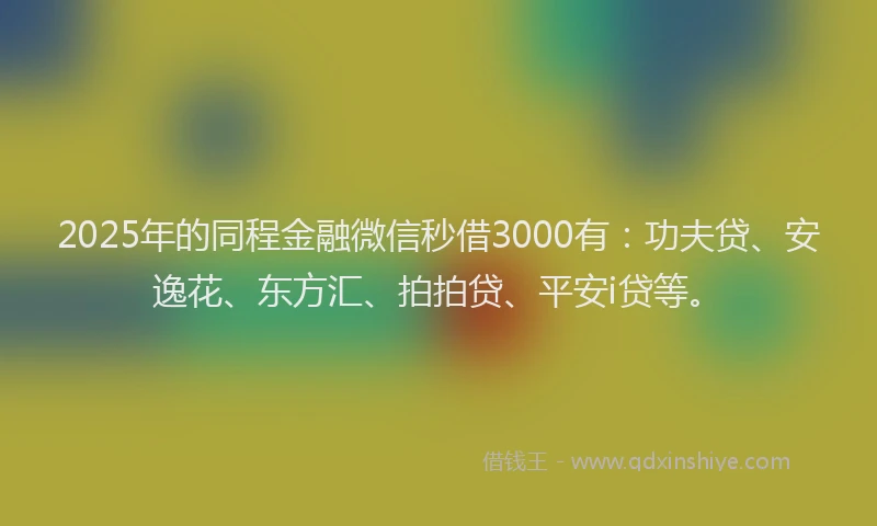 2025年的同程金融微信秒借3000有：功夫贷、安逸花、东方汇、拍拍贷、平安i贷等。