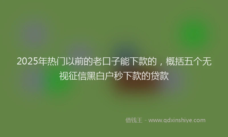 2025年热门以前的老口子能下款的，概括五个无视征信黑白户秒下款的贷款