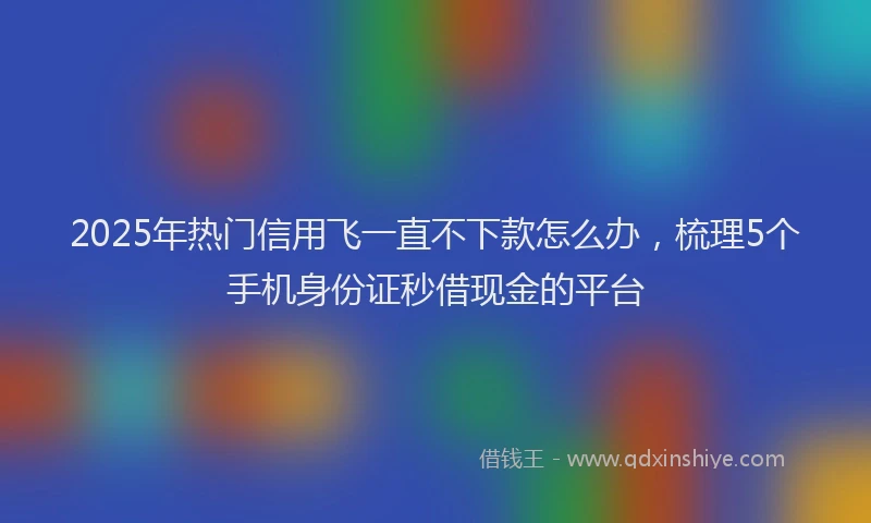 2025年热门信用飞一直不下款怎么办，梳理5个手机身份证秒借现金的平台